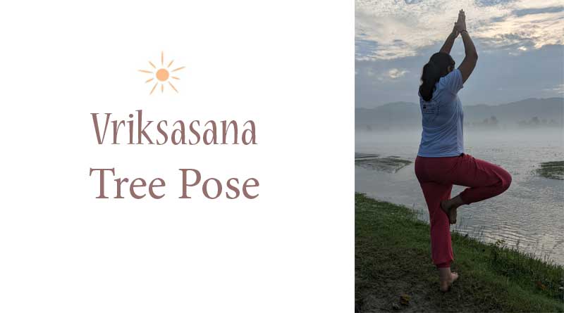 Vriksasana or Tree Position: